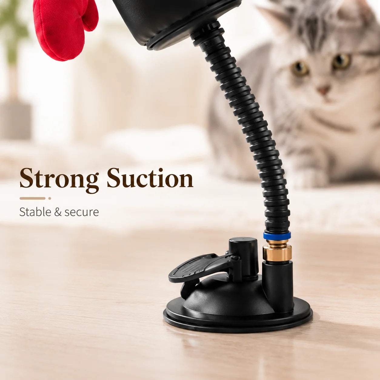 Gato PowerBox