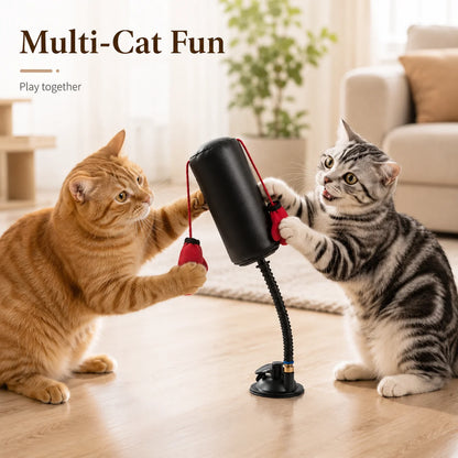 Gato PowerBox