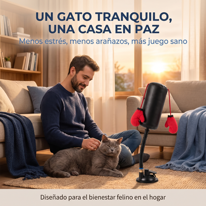 Gato PowerBox - gato tranquilo tras jugar, resultado de bienestar