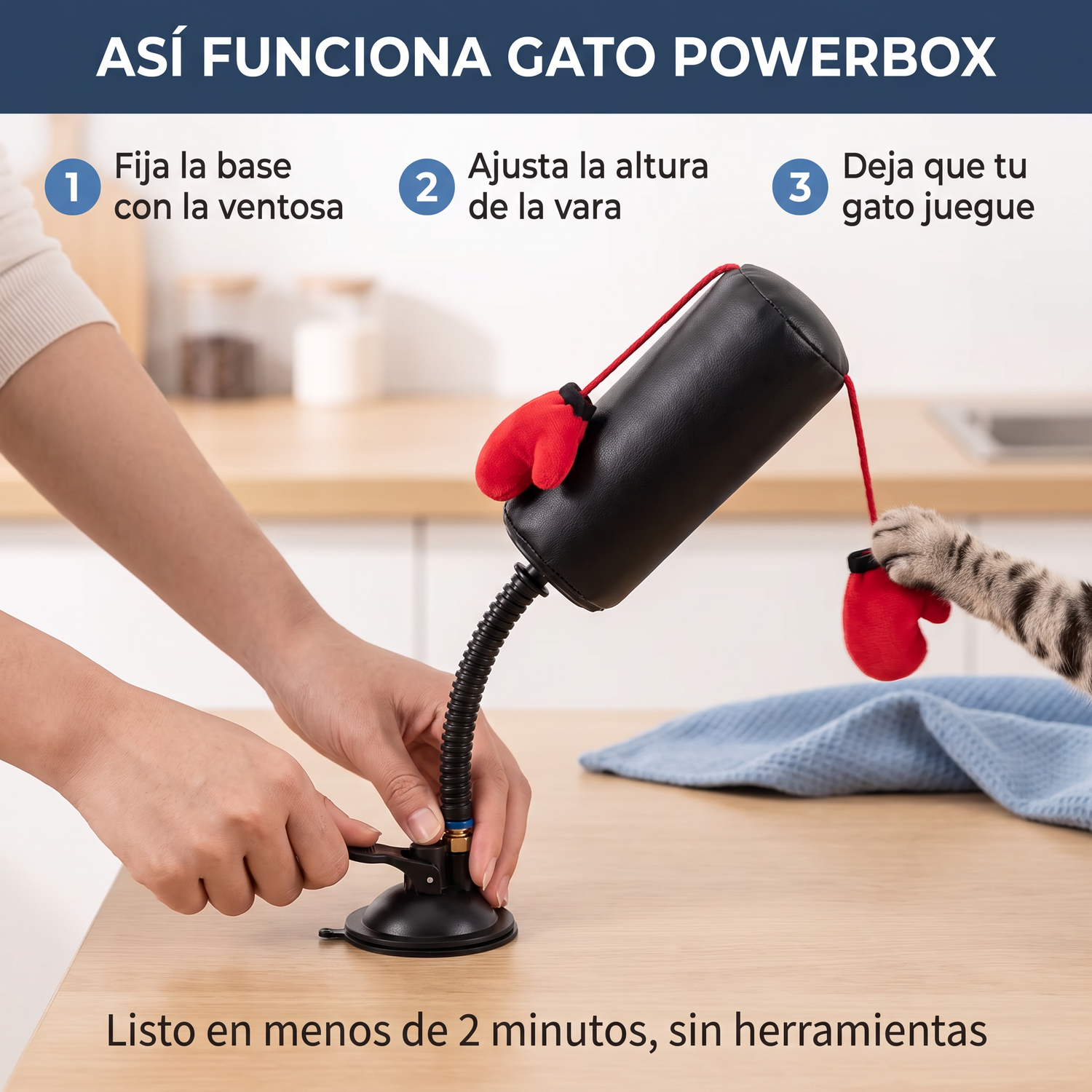 Gato PowerBox - cómo instalar y usar la base de ventosa