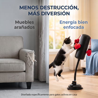 Gato PowerBox - antes y después, muebles arañados vs energía bien enfocada