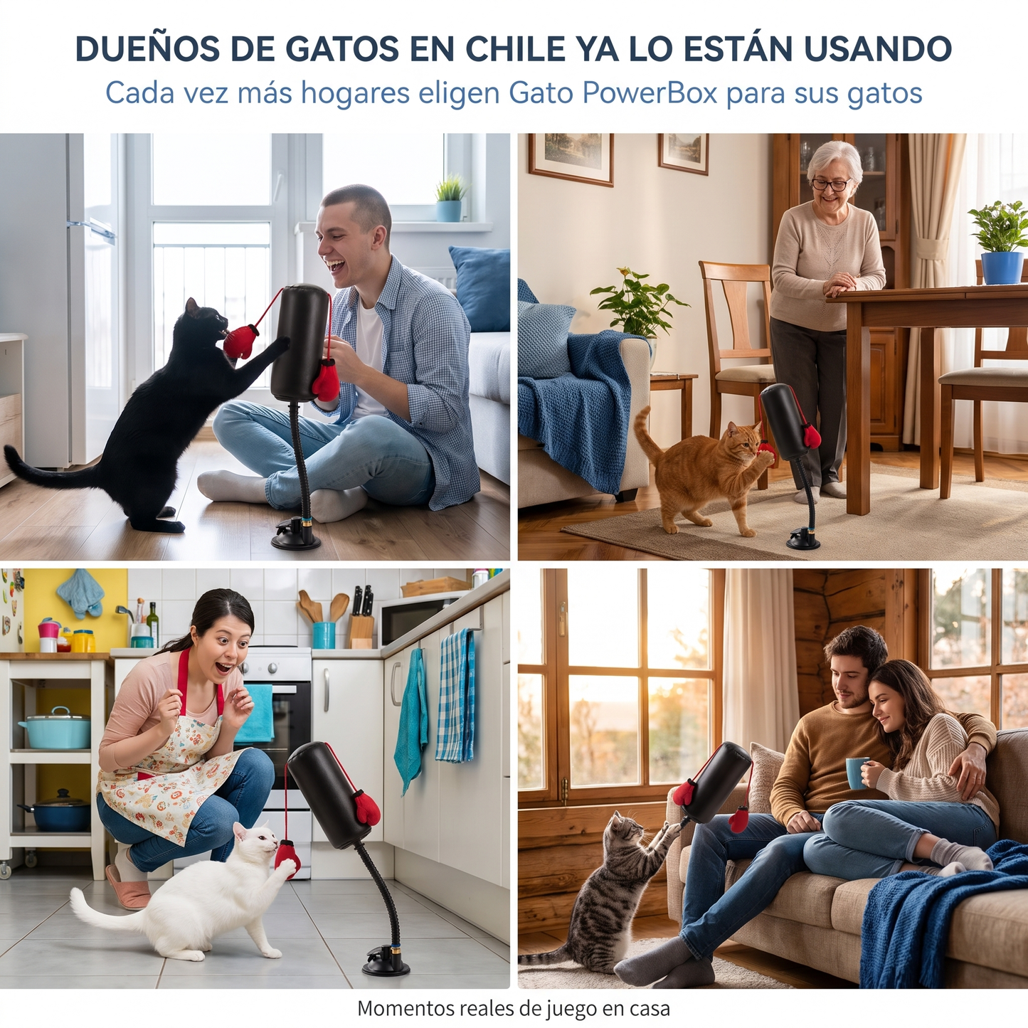 Gato PowerBox - dueños de gatos en Chile usando el producto